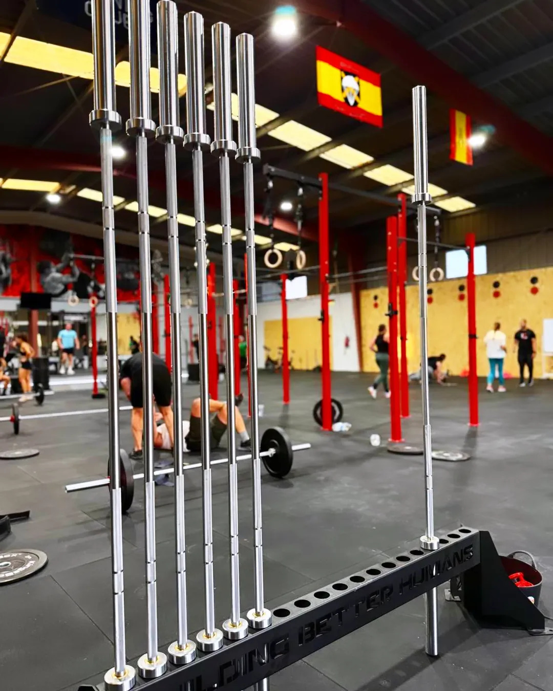 Zona de barras y entrenamiento funcional de Life Coach Sport